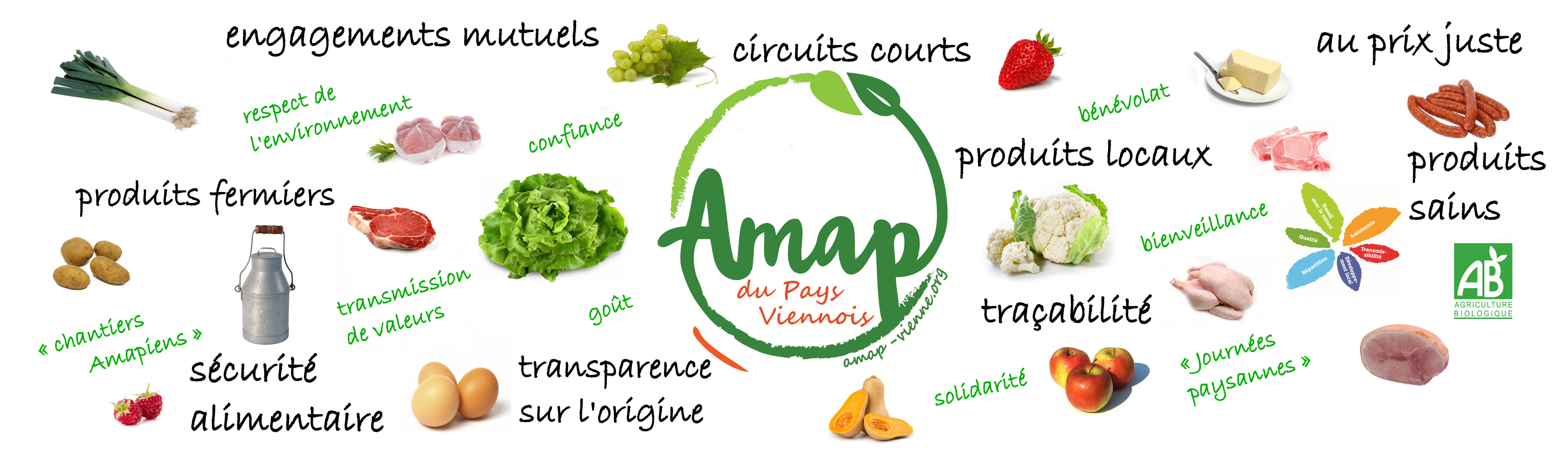 banderoe-AMAP